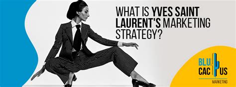 ysl target audience|ysl marketing.